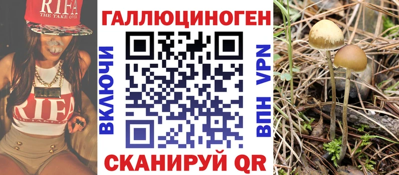 где купить наркоту  Краснообск  Галлюциногенные грибы прущие грибы 